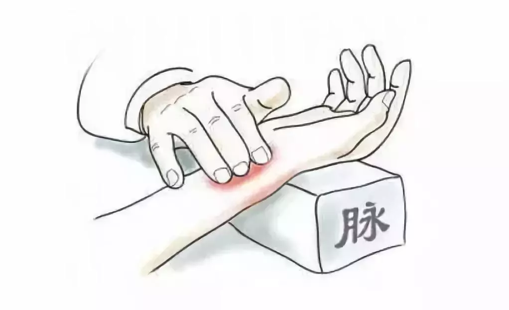 The Twenty-Eight Pulses and All Pulse Patterns in Traditional Chinese Medicine (Animated Illustrations)