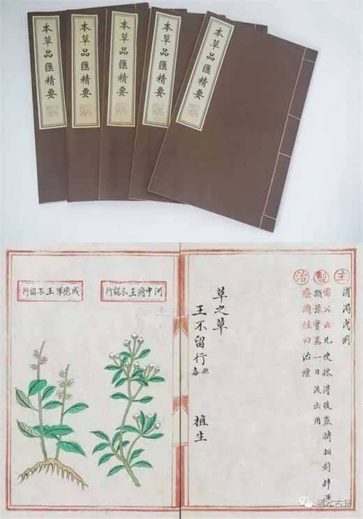 Exploring Traditional Culture | Issue 19: The Historical Transmission of Materia Medica Literature (Part 3)