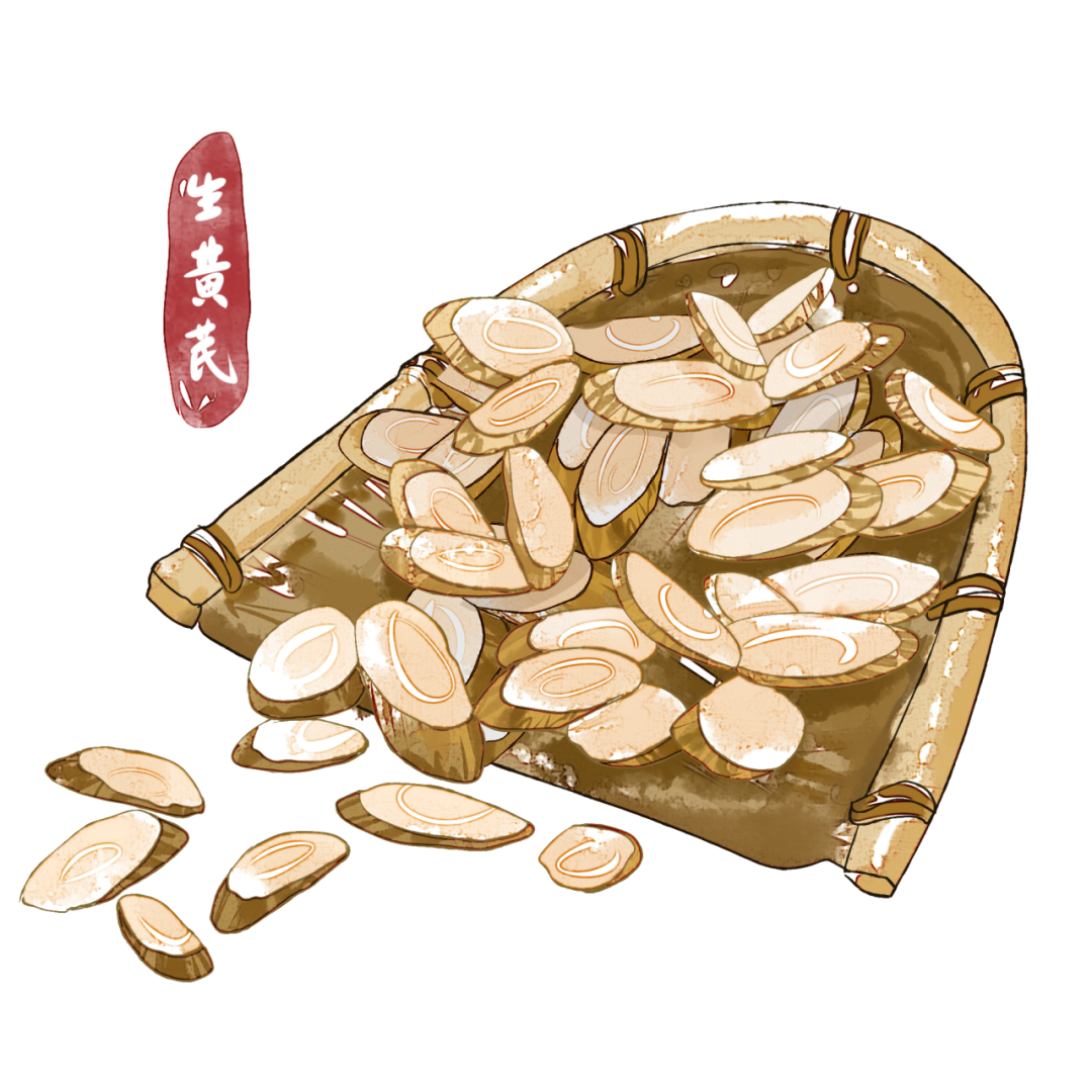 The Essentials of Astragalus (Huang Qi) for Qi Supplementation