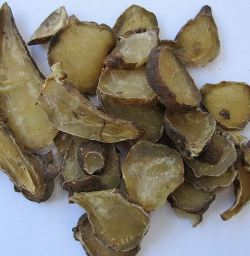 The Remarkable Chinese Herb: Fu Zi (Aconite)