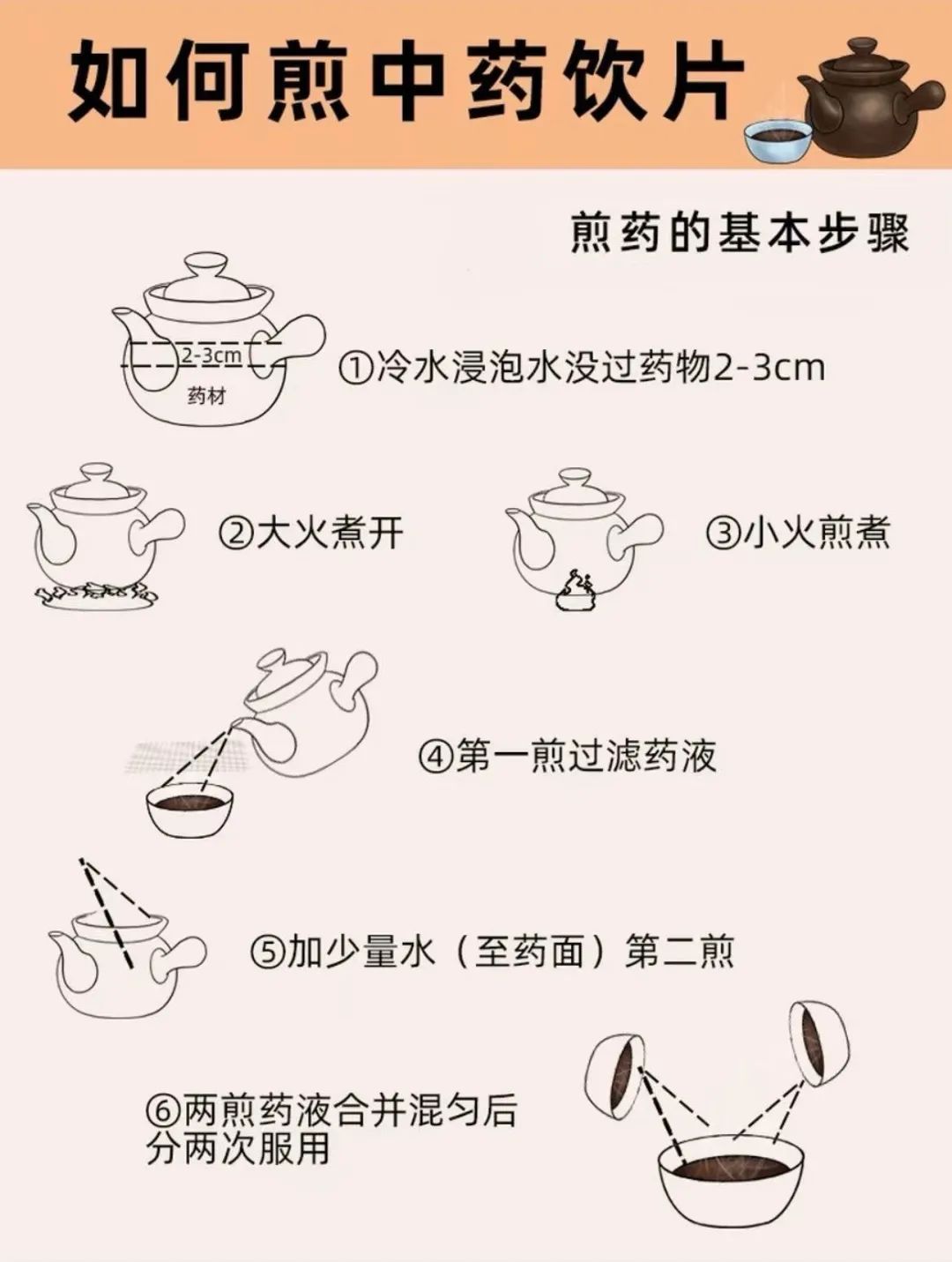 The Application of Traditional Chinese Medicine: Decoctions