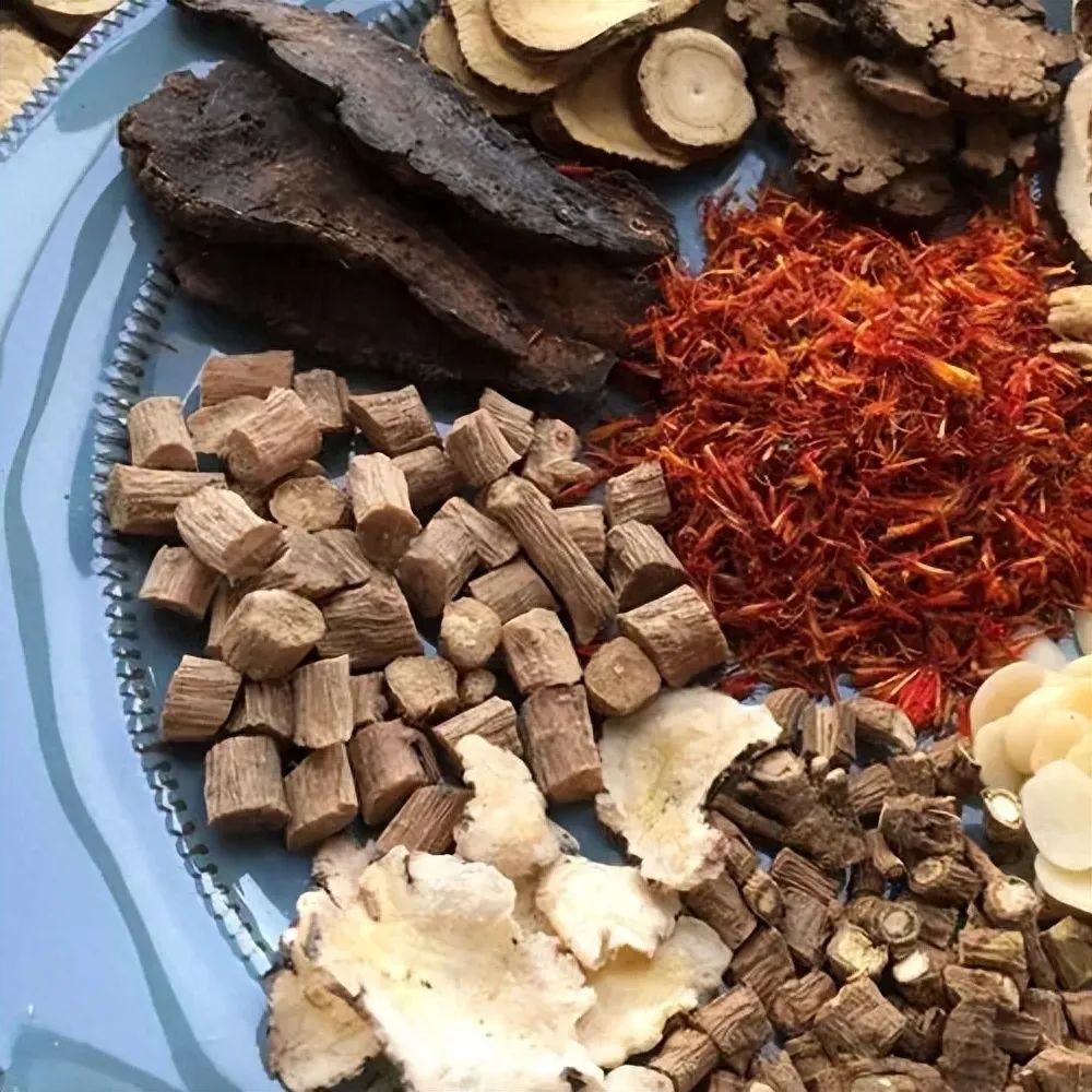 Blood Stasis: The Root of All Illnesses - Five Blood-Invigorating Formulas by Ren Wang