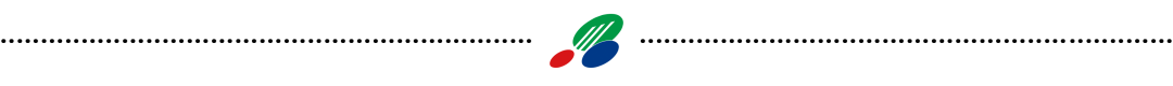 The Efficacy and Functions of Honeysuckle (Jin Yin Hua)
