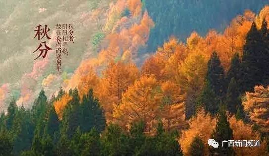 Autumn Equinox Health: Balancing Yin and Yang, Nourishing and Moistening the Lungs