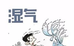 Eight Essential Tips for Eliminating Dampness in Traditional Chinese Medicine