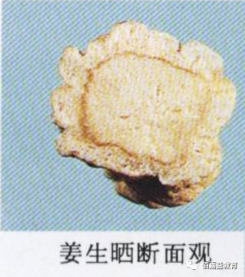 How to Distinguish Genuine from Fake Ginseng