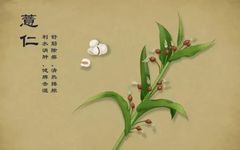 Coix Seed: Diuretic and Dampness-Removing Properties