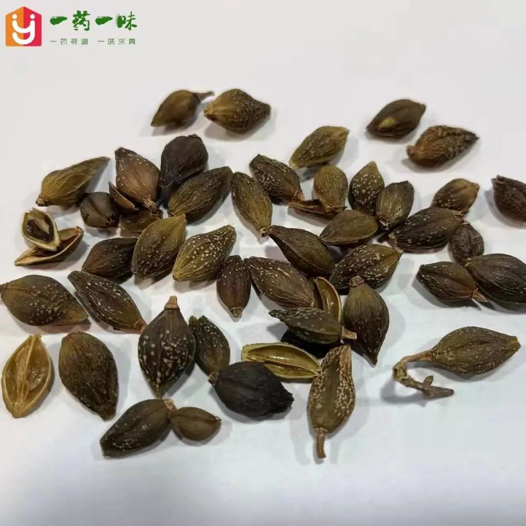 Clearing Heat and Detoxifying Herbs in Traditional Chinese Medicine