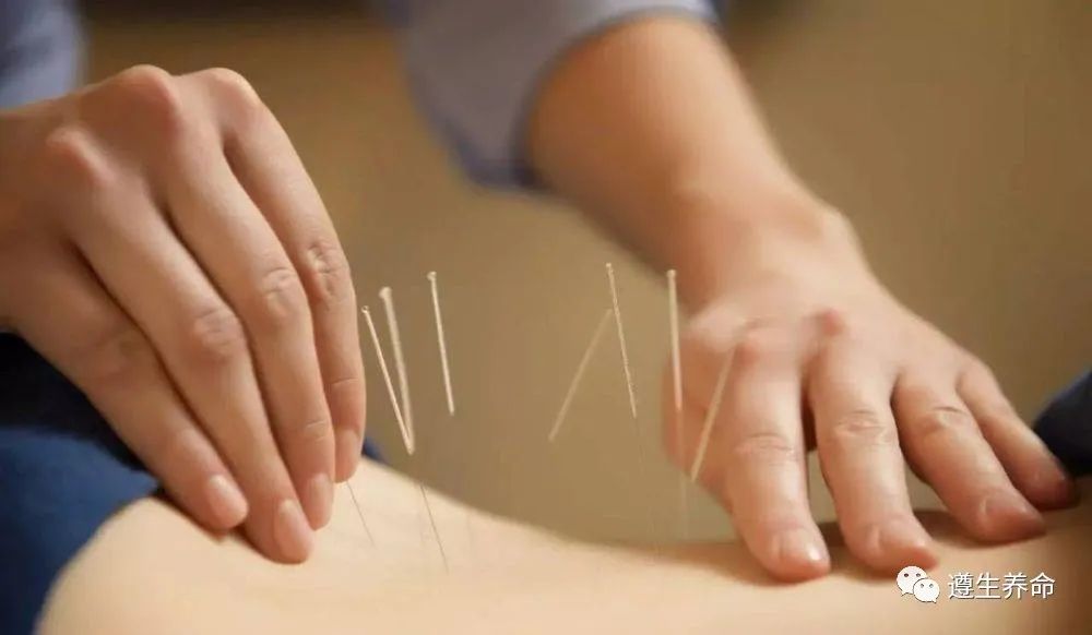 The Treasures of Traditional Chinese Medicine: The Six Major Techniques of Bian, Acupuncture, Moxibustion, Herbal Medicine, Daoyin, and Anqiao