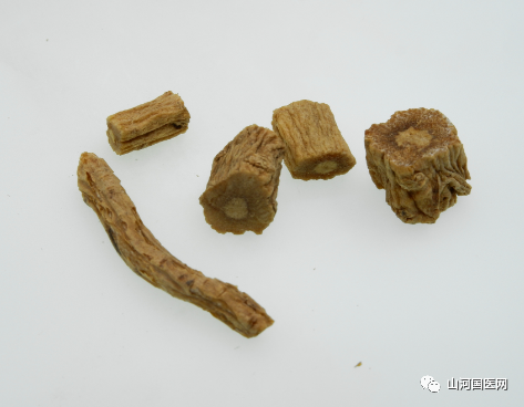 Codonopsis (Dang Shen): A Comprehensive Overview