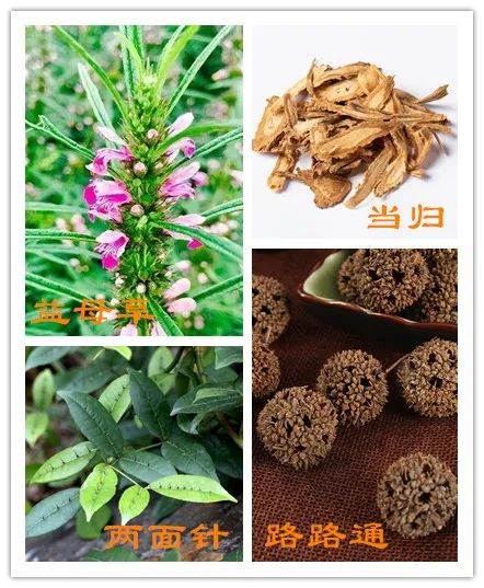 Three Combinations of Chinese Herbs Commonly Used for Activating Blood Circulation and Resolving Stasis