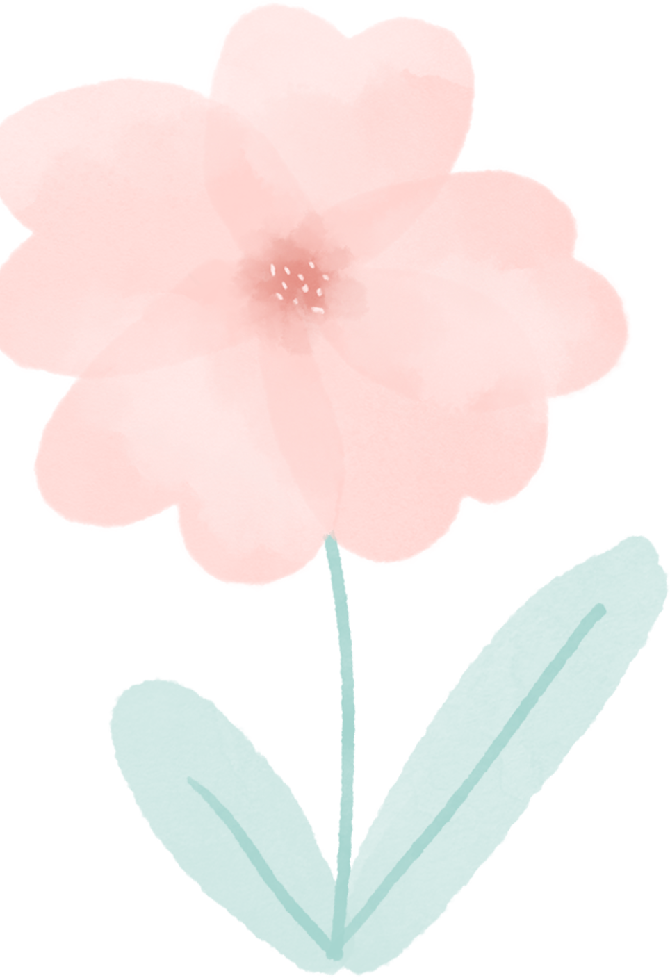 Dietary Therapy for Spleen and Stomach Yang Deficiency
