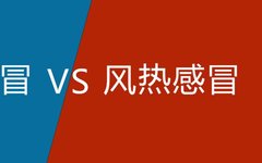 Differentiation of Wind-Cold and Wind-Heat Colds in Traditional Chinese Medicine and Commonly Used Veterinary Herbal Medicines