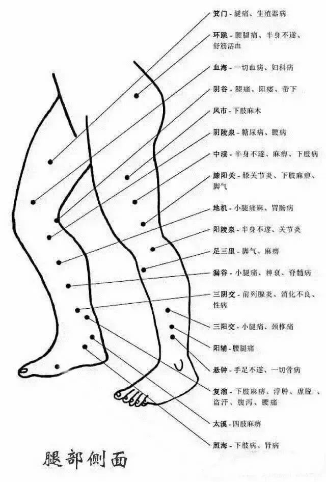 The Most Comprehensive Atlas of Acupuncture Points and Their Effects!