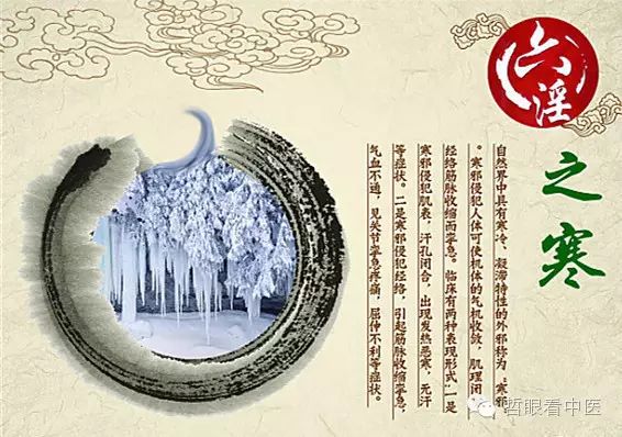 The Six Excesses and Their Syndromes in Traditional Chinese Medicine