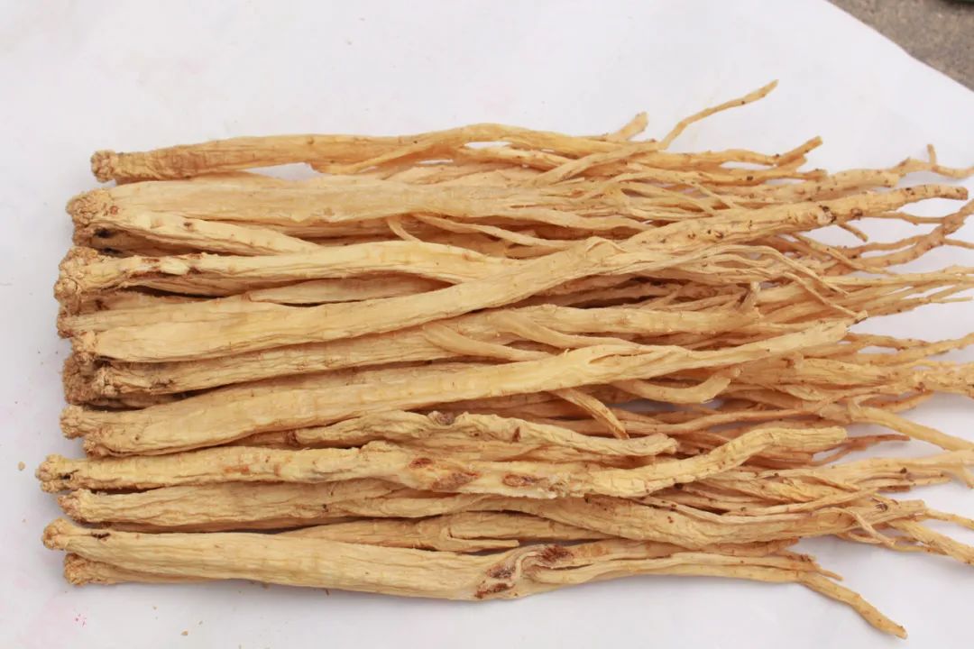 The Dual Role of Food and Medicine: Dang Shen (Codonopsis pilosula)