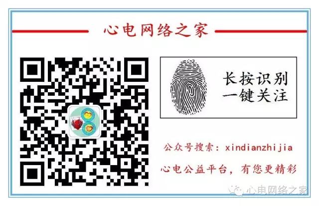 Understanding Your TCM Constitution Type