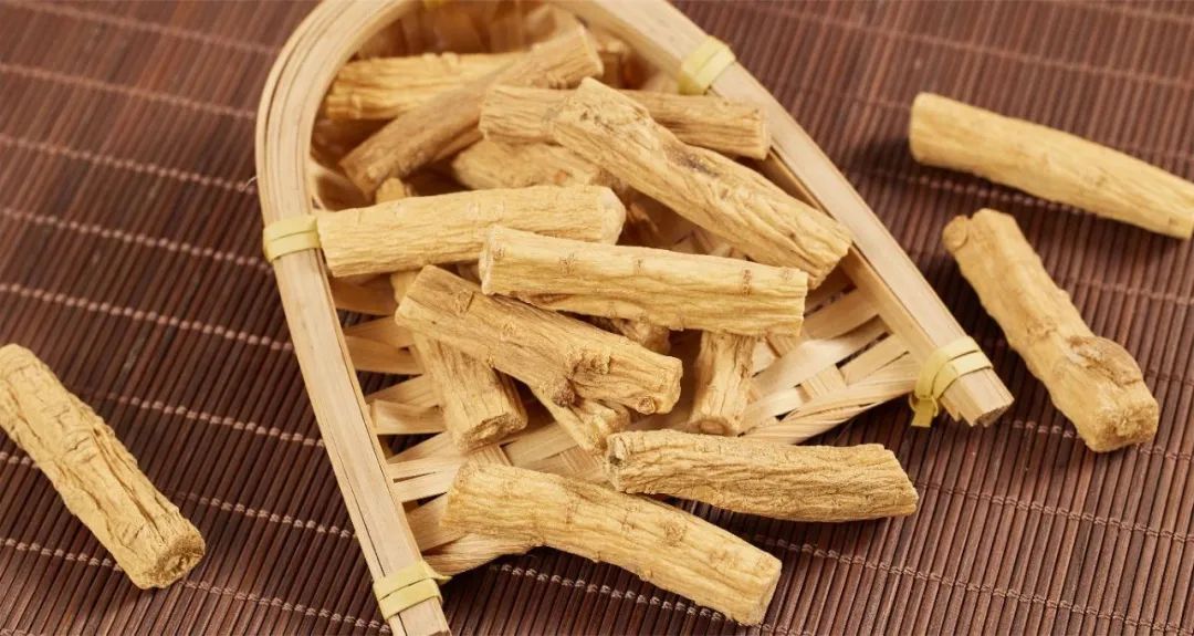Dang Shen: The "Little Ginseng" for Nourishing Qi and Blood
