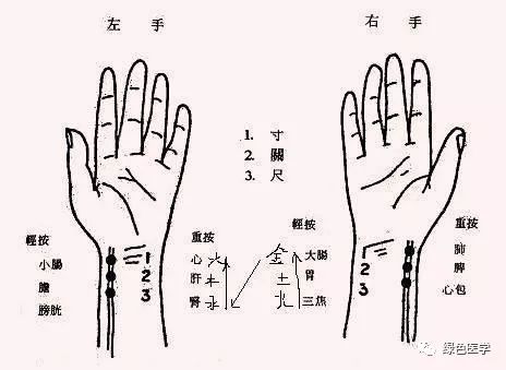 Summary of Pulse Diagnosis in Traditional Chinese Medicine