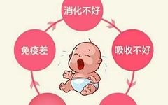 Symptoms of Spleen and Stomach Yang Deficiency and Dietary Therapy in Winter