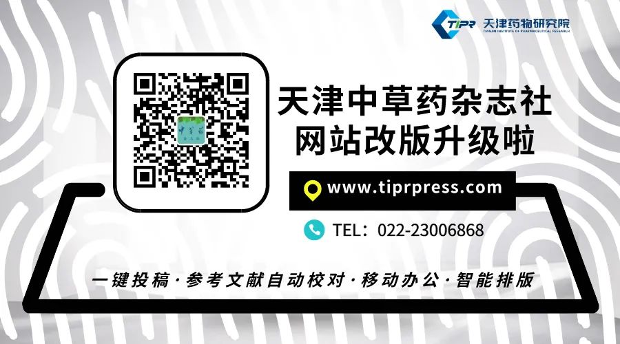 Research Progress on the Mechanism of Antitumor Effects of Traditional Chinese Medicine Based on the Principle of "Supporting the Right and Expelling the Evil"