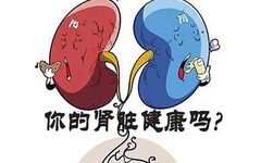 How to Differentiate Between Kidney Deficiency, Kidney Yin Deficiency, Kidney Yang Deficiency, Both Kidney Yin and Yang Deficiency, and Kidney Qi Deficiency?