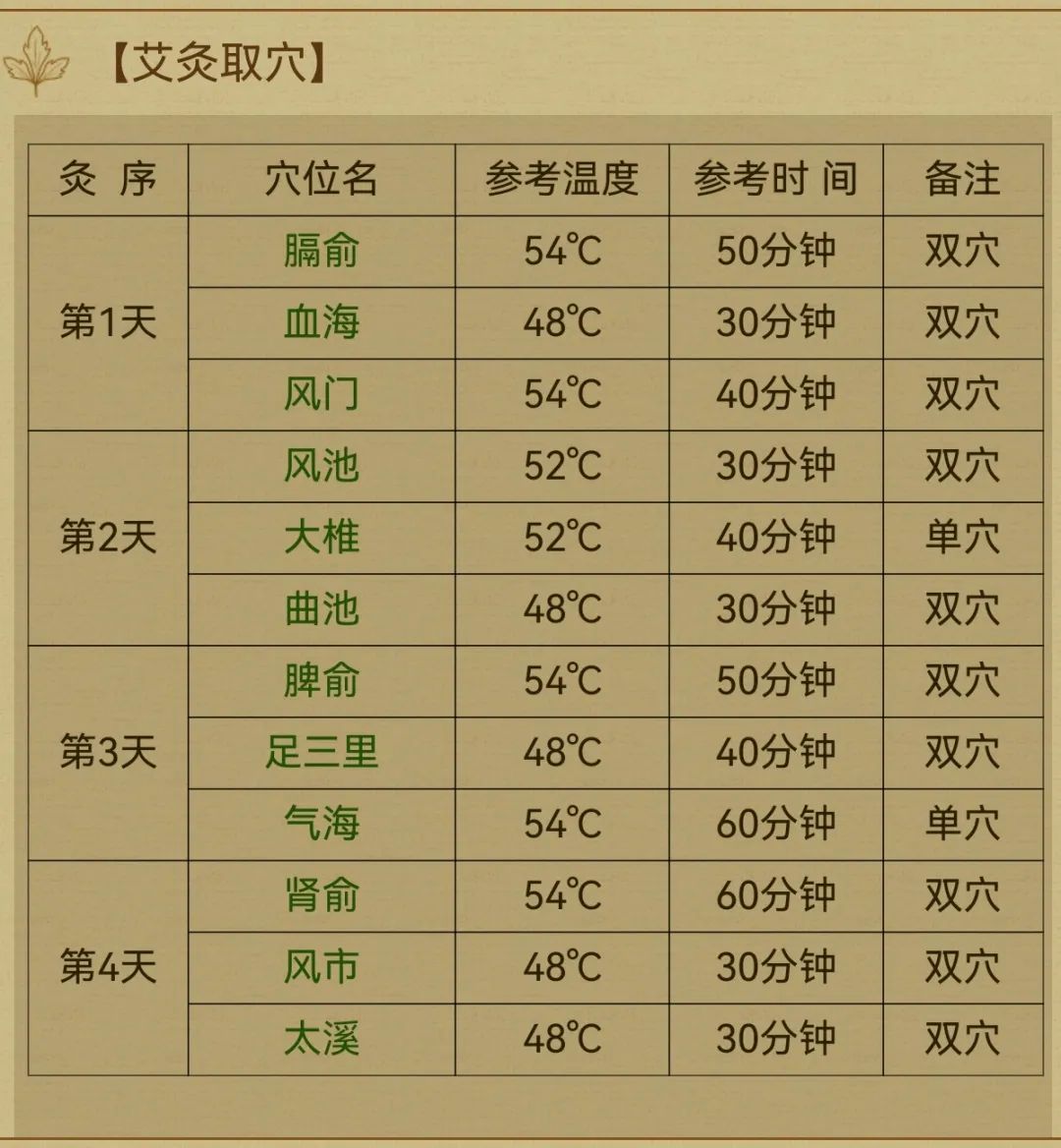 Moxibustion Therapy