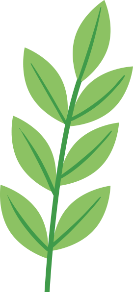 Understanding Cough: The Role of the Five Zang Organs in Traditional Chinese Medicine