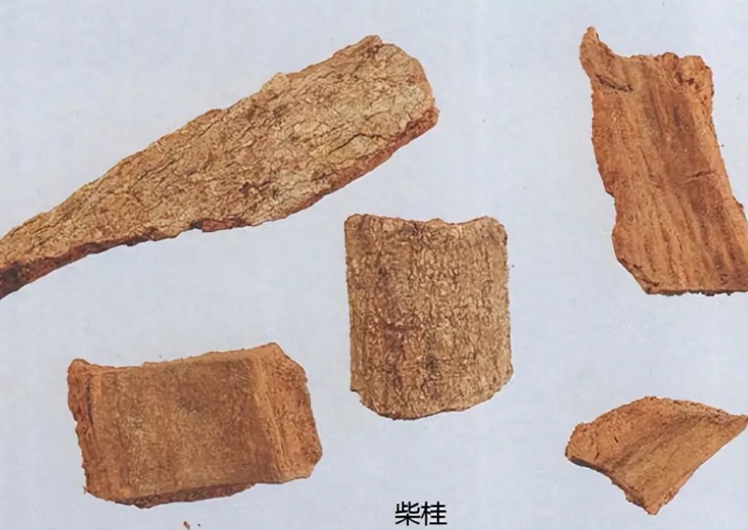 Identification of Cinnamon in Traditional Chinese Medicine