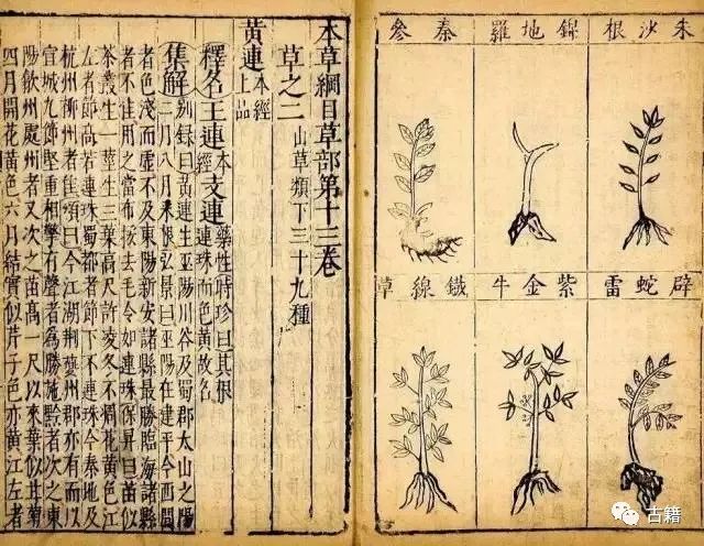 An Overview of the Ming and Qing Editions of the Compendium of Materia Medica