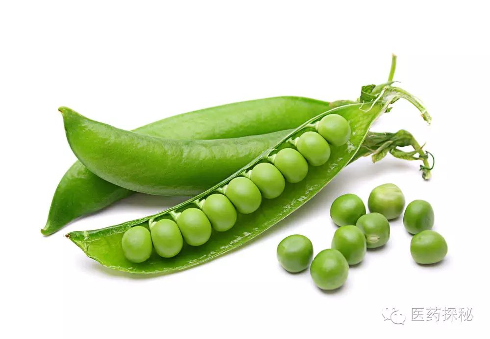 Nourishing with Grains: 6 Types of Beans for Summer Health