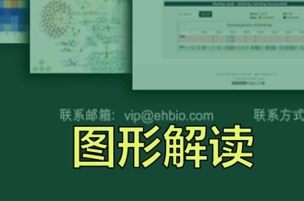 Artificial Herbal Cell: Compound Danshen Yeast 1.0