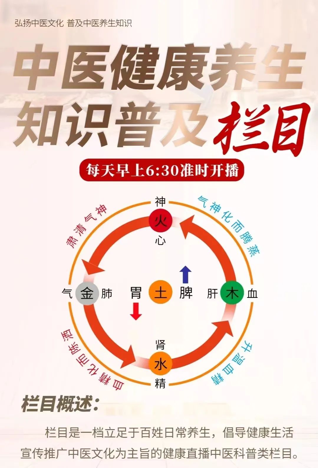 Understanding Kidney Yin Deficiency and Kidney Yang Deficiency in Traditional Chinese Medicine: Effective Remedies