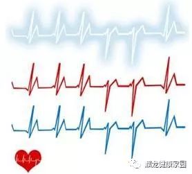 Pulse Diagnosis Methods in Traditional Chinese Medicine