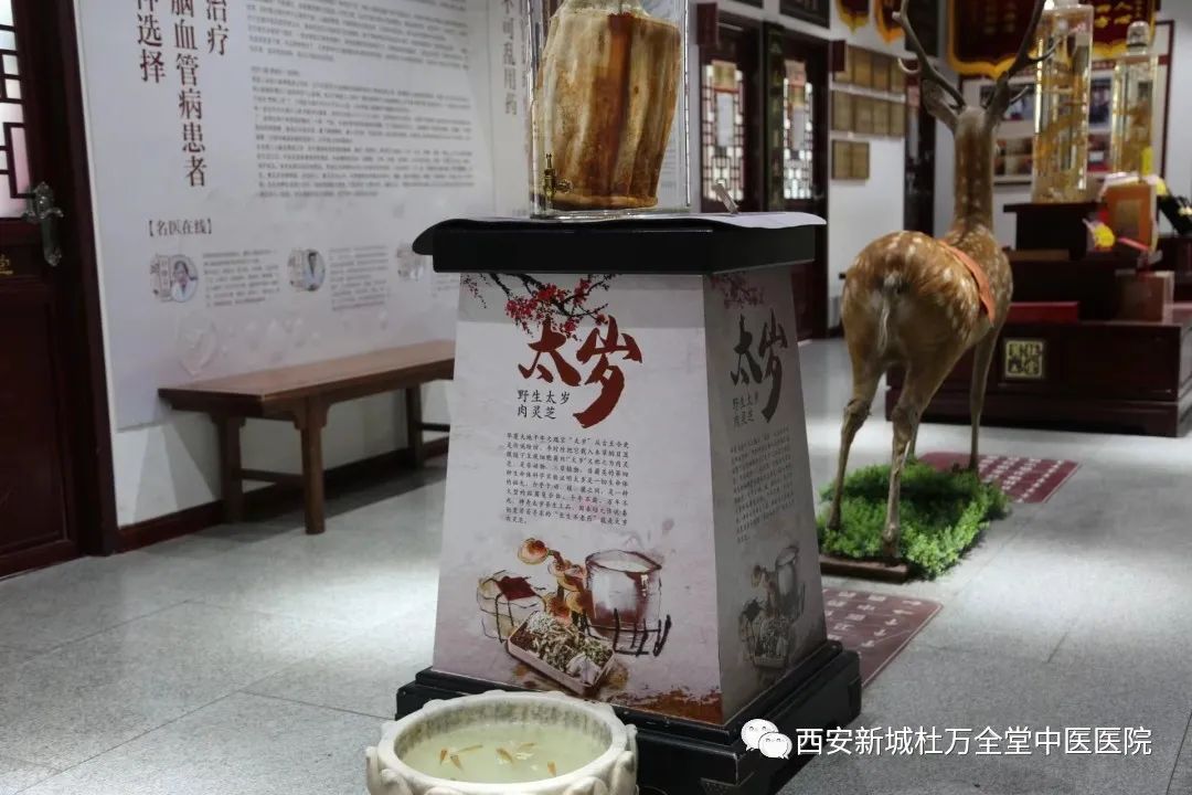 Understanding Spleen and Stomach Yang Deficiency: A Guide to TCM Regulation