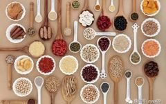 Treasures in Daily Life: Health and Dietary Therapy