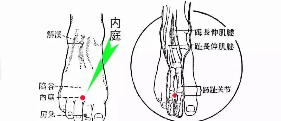 Three Hand Acupuncture Points, Three Foot Acupuncture Points, and Three Shoulder Acupuncture Points!