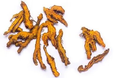 The Benefits and Cautions of Long-term Use of Huang Lian (Coptis chinensis)