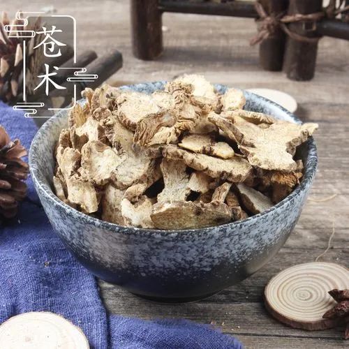 Traditional Chinese Medicine: Essential Knowledge About Cang Zhu (Atractylodes)