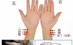 How to Differentiate Between Kidney Yang Deficiency, Kidney Yin Deficiency, Kidney Qi Deficiency, and Both Kidney Yin and Yang Deficiencies - A Reliable Diagnostic Method Included