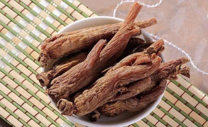 Differences Among Ginseng, Danshen, Codonopsis, American Ginseng, and More: Effects and Usage Explained