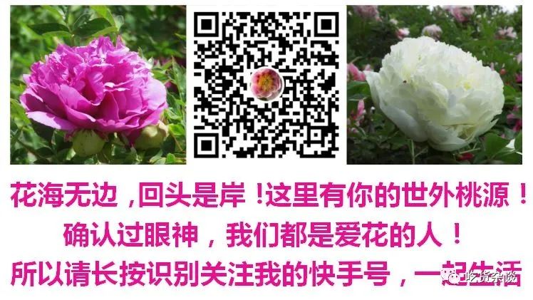 Understanding Liver Qi Stagnation: A Traditional Chinese Medicine Perspective