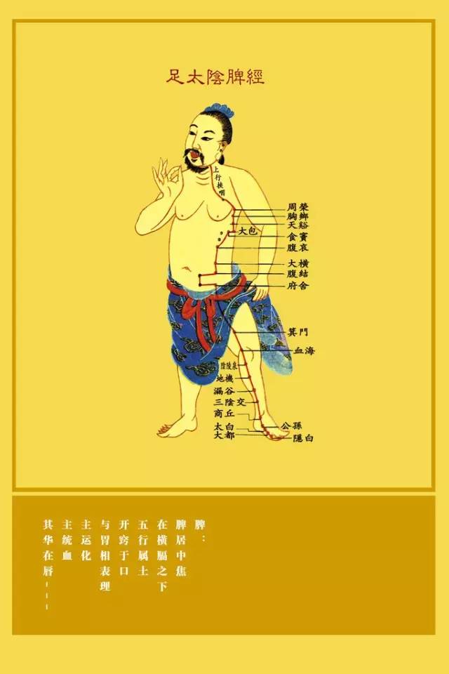 Understanding the Eight Extraordinary Meridians in Traditional Chinese Medicine