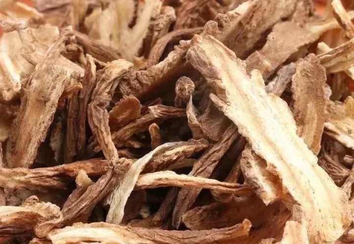 Angelica Sinensis (Dang Gui) | An Overview of Traditional Chinese Medicine