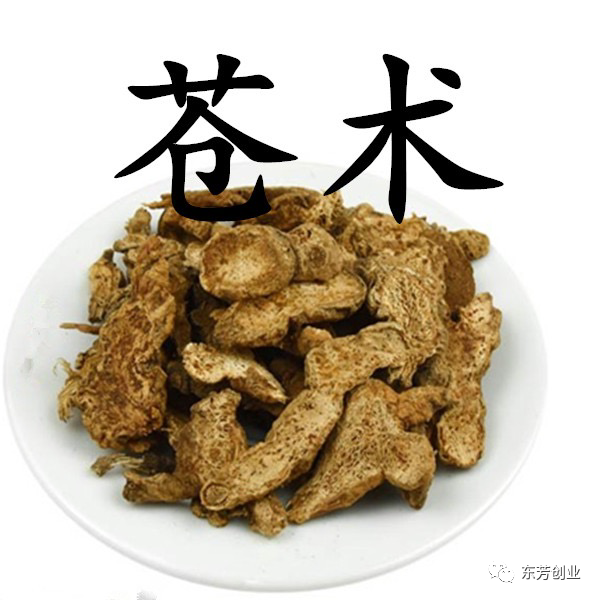 The Efficacy and Functions of Cang Zhu (Atractylodes Lancea)