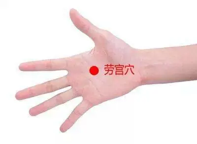 47 Unique Acupuncture Points Worth Seeing! (Collector's Edition)