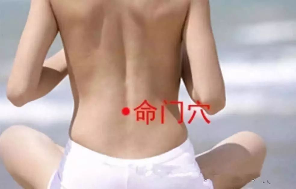 Essential Knowledge of Traditional Chinese Medicine You Must Understand