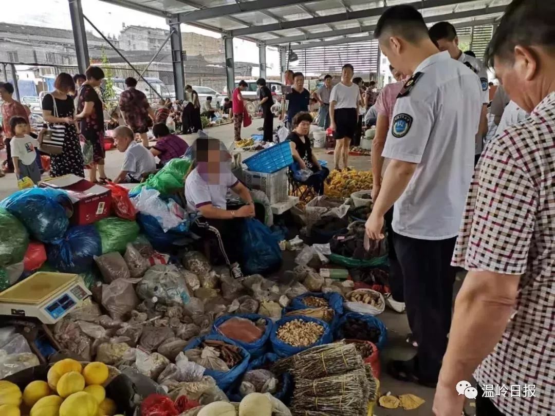 A Shocking Incident: A 3-Month-Old Fetus in Zhejiang Needs Induction Due to Mother's Misguided Belief in Pulse Diagnosis