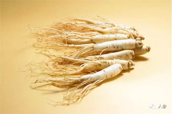 How to Consume Ginseng? Discover 7 Methods