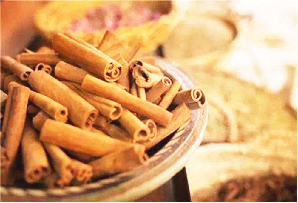 Understanding Cinnamon in Traditional Chinese Medicine